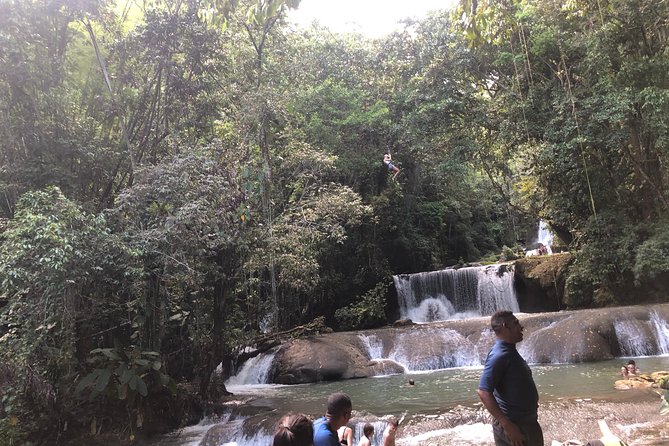 Black River Safari, YS Falls and Appleton Estate - A full South Coast day from Negril