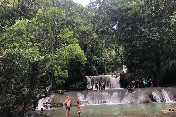 Black River Safari, YS Falls and Appleton Estate - What the $138.47 price really covers
