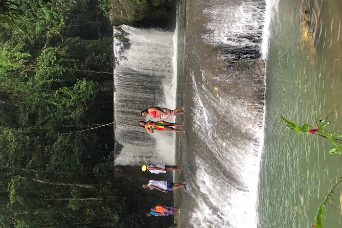 Black River Safari, YS Falls and Appleton Estate - The roads are part of the experience