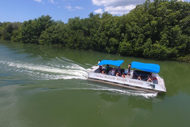Black River Safari, YS Falls and Appleton Estate - Timing, weather, and what to bring