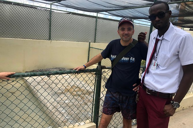 Black River Safari, YS Falls and Floyd's Pelican Bar - Timing, comfort, and what to bring
