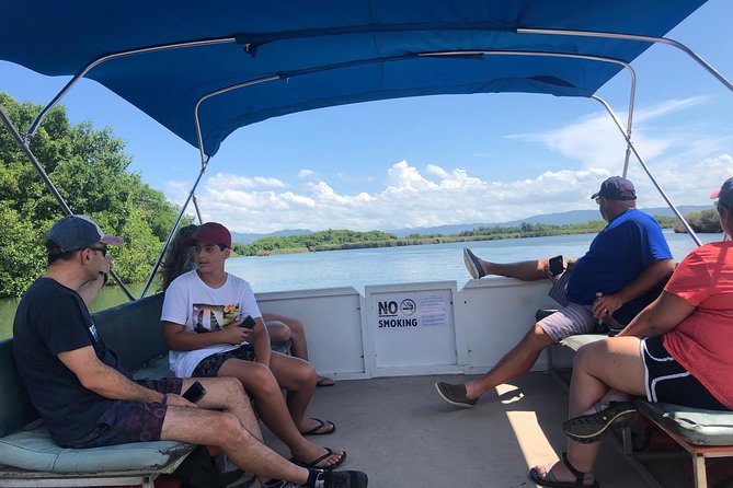 Black River Safari, YS Falls and Floyd's Pelican Bar - Who should book this experience