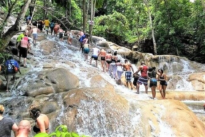 Blue Hole and Dunn's Falls Tour from Falmouth - Who should book this Jamaica water tour?