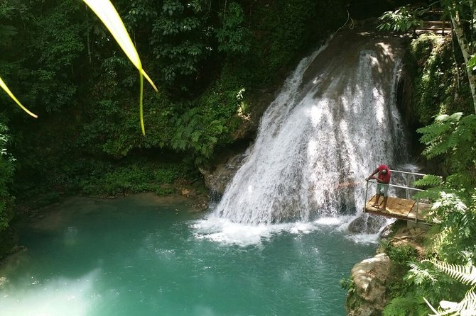 Blue Hole and Dunn's River Falls from Montego Bay - Blue Hole brings the adventure early