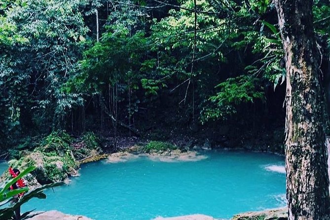 Blue Hole and Dunn's River Falls Tour from Montego Bay - Dunn’s River Falls: Jamaica’s famous climb