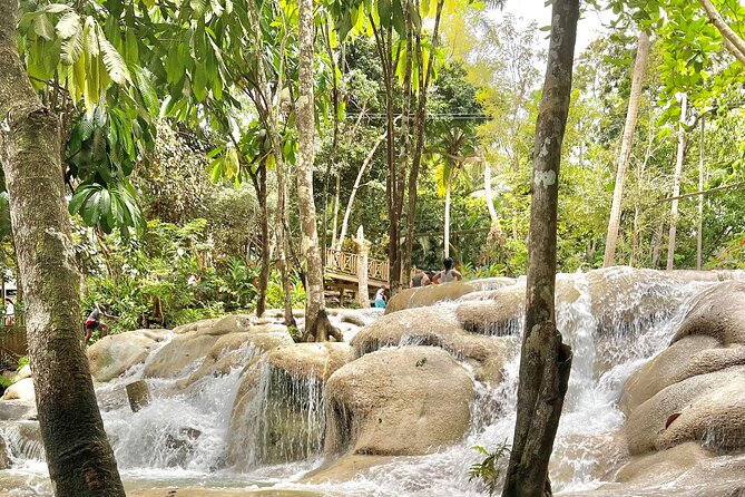 Blue Hole and Dunn's River Tour (Entrance Fees Not Included) - What the private driver adds