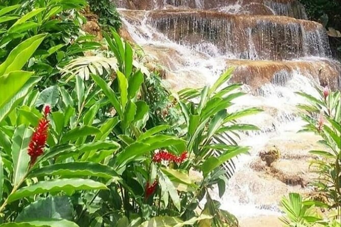 Blue Hole And Konoko Falls Combo Tour From Ocho Rios & Runaway Bay! - What to wear and carry