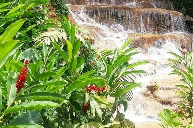 Blue Hole And Konoko Falls Combo Tour From Ocho Rios & Runaway Bay! - The role of the driver