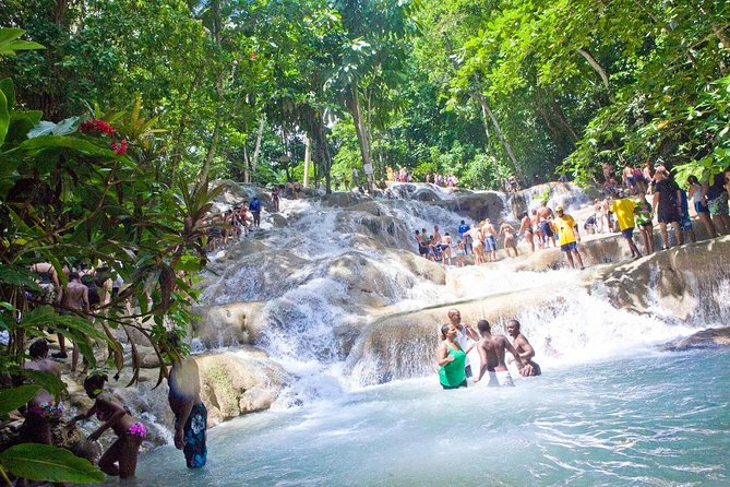 Blue Hole and Secret Falls plus Dunn's River Falls Combo Tour - Who will enjoy this tour most?