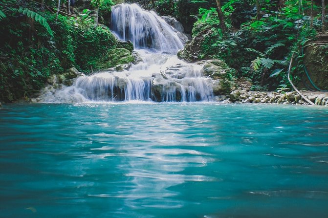 Blue Hole and Secret Falls plus Luminous Lagoon Tour - Luminous Lagoon and the glowing water