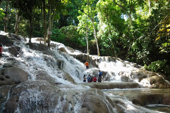 Blue Hole, Dunn's River Falls Luminous Lagoon Excursion From Montego Bay - The drive from Montego Bay with Trevor or another local guide