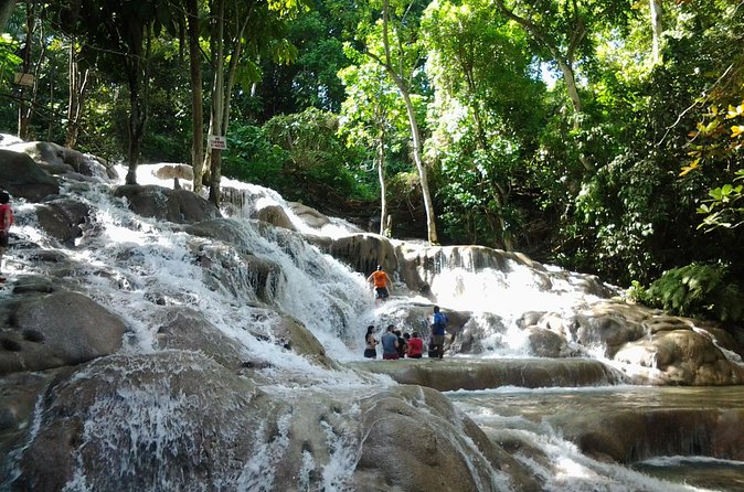 Blue Hole, Dunn's River Falls Luminous Lagoon Excursion From Montego Bay - Practical planning for a smoother day