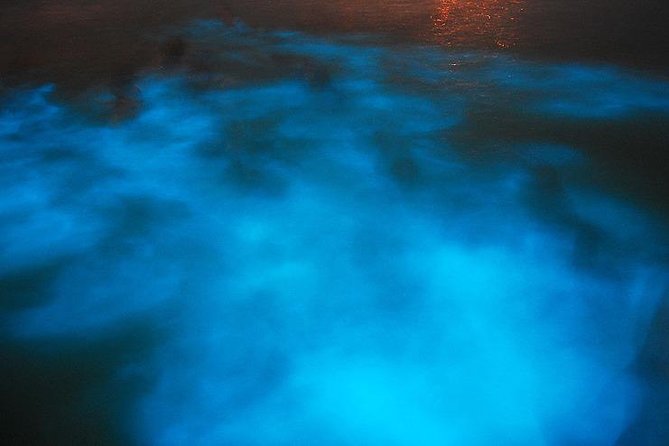 Blue Hole/ Dunn's River Falls & Luminous Lagoon (Glistening water) 3 in 1 combo - Blue Hole starts the day with cool water and jumps