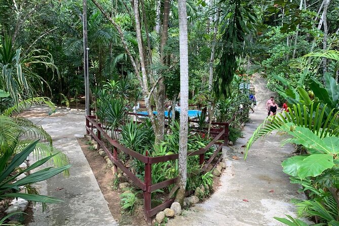 Blue Hole & Dunn's River Falls with Lunch from Negril - Lunch is included, but plan for wet clothes