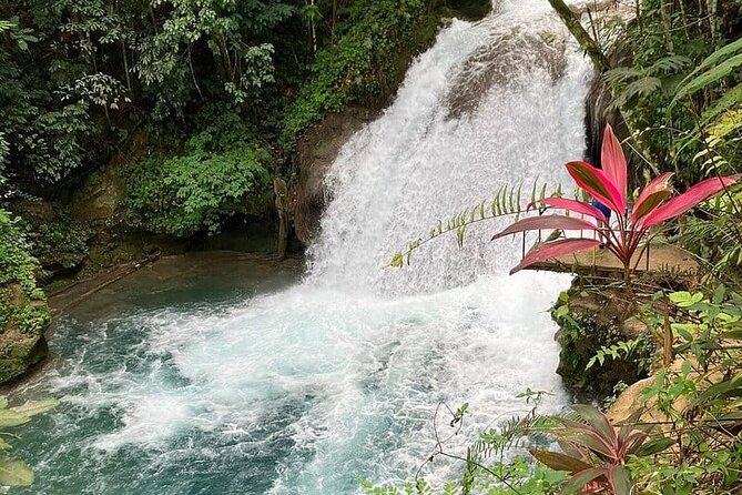Blue Hole From Ocho Rios - Swimming, falls, and the famous jumps