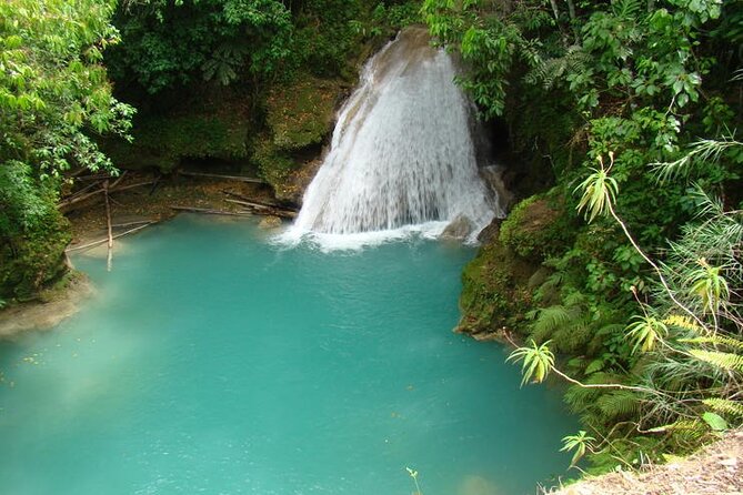 Blue Hole & Konoko Falls Park Combo Tour from Montego Bay - Konoko Falls Park: waterfalls, animals, and plants