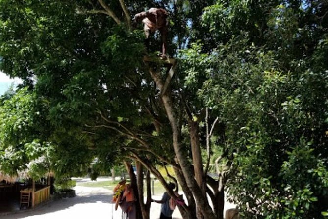 Blue Hole Mineral Spring and Ricks Cafe Private Tour - Why the private format is worth the $160 price