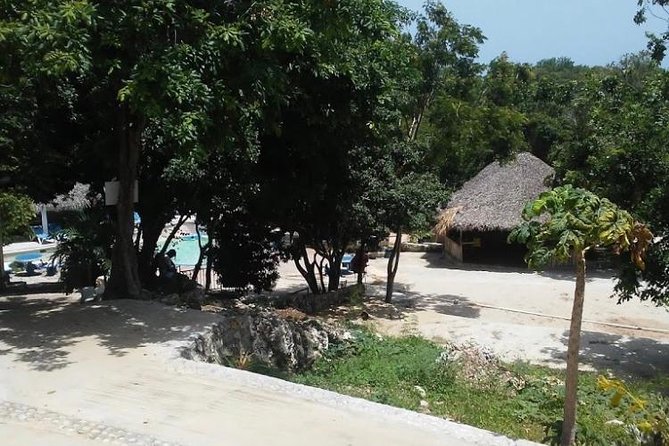 Blue Hole Mineral Spring and Ricks Cafe Private Tour - Who should book this Jamaica day trip