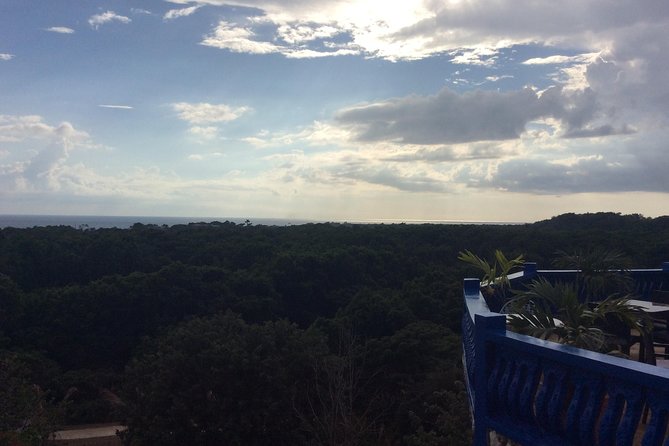 Blue Hole Mineral Springs, Rick's Café, and Shopping Combo Tour - A private Negril outing built around flexibility