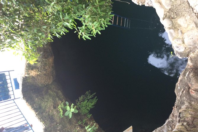 Blue Hole Mineral Springs, Rick's Café, and Shopping Combo Tour - Blue Hole Mineral Spring and the 22-foot jump