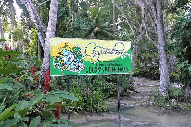 Blue Hole plus Secret Falls and Dunns River Falls Combo from Runaway Bay Hotels - Dunn’s River Falls: Jamaica’s famous human-chain climb