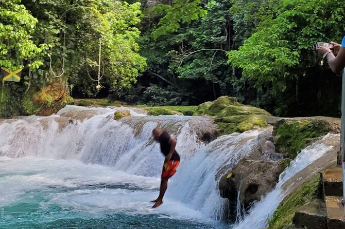 Blue Hole Waterfall Tour from Montego Bay - Swimming, jumping, and relaxing at the falls