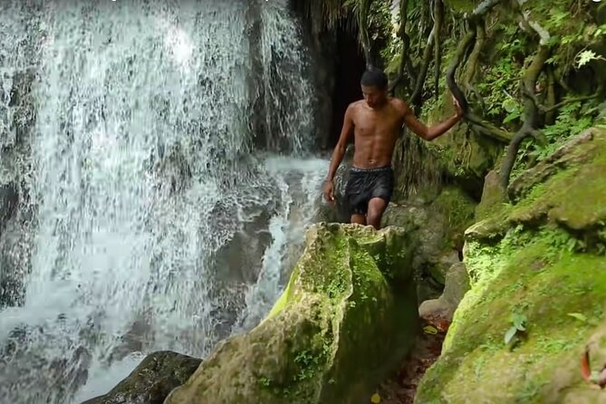 Blue Hole Waterfalls and Rasta Garden from Montego Bay - Who should choose this Jamaican day trip?