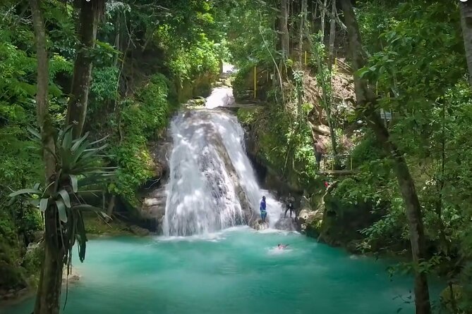 Blue Hole Waterfalls and Rasta Garden from Montego Bay - Calby’s garden adds a human side to the day