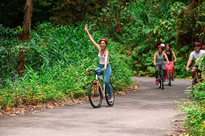 Blue Mountain Bicycle Tour - Key points to know before booking