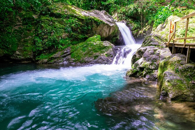Blue Mountain Bicycle Tour - The 2.5-hour drive from Ocho Rios