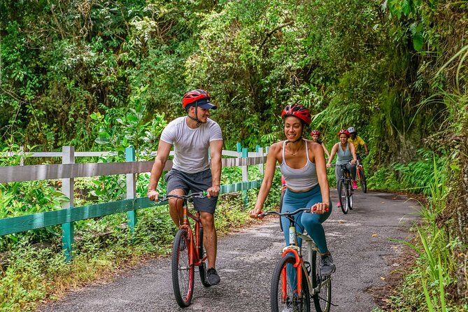 Blue Mountain Bicycle Tour - Lunch, jerk chicken, and the second half of the ride
