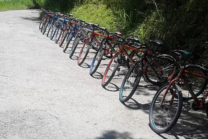 Blue Mountain Bicycle Tour from Montego Bay - Group size and the feel of the day