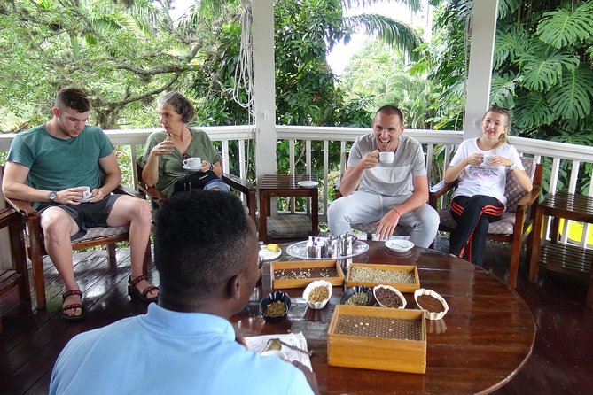 Blue Mountain Coffee and Sightseeing Tour - From Kingston streets to the Blue Mountains