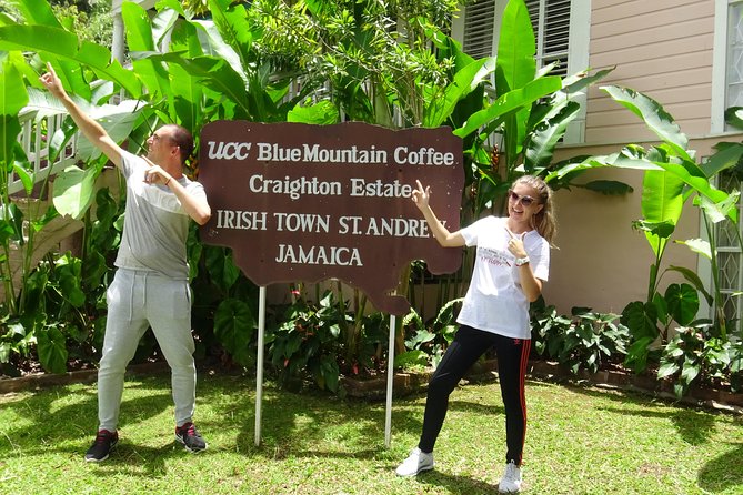 Blue Mountain Coffee and Sightseeing Tour - Who will enjoy this half-day outing?
