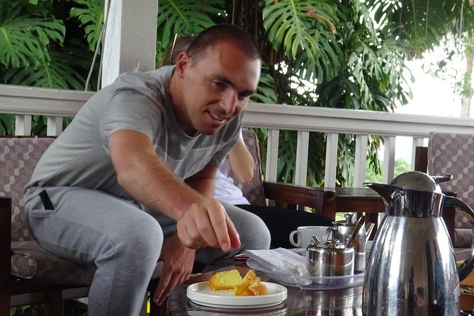Blue Mountain Coffee and Sightseeing Tour - Blue Mountain National Park, with plants, birds, and a waterfall