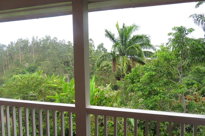 Blue Mountain Path Finder - Seeing the coffee plantation up close