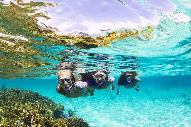 Boatride & Snorkeling then Margaritaville Hipstrip Activity - What the three-hour Montego Bay outing feels like
