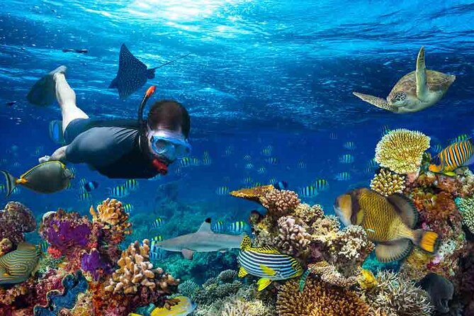 Boatride & Snorkeling then Margaritaville Hipstrip Activity - Why the reef stop earns the $40 price