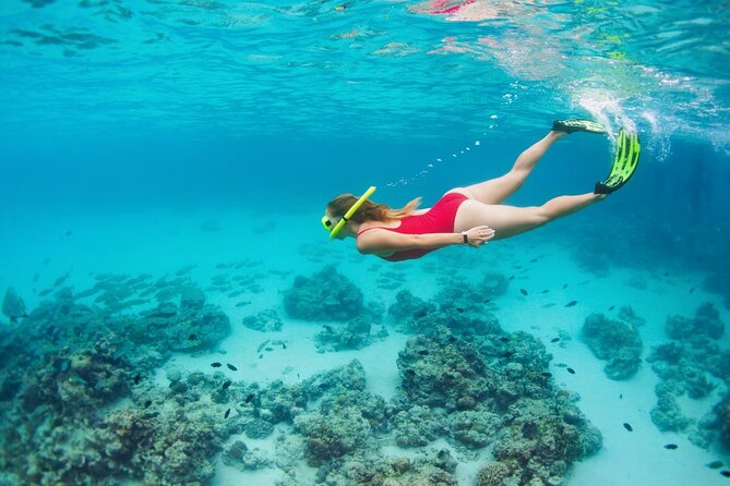Boatride & Snorkeling then Margaritaville Hipstrip Activity - My practical verdict on the $40 experience
