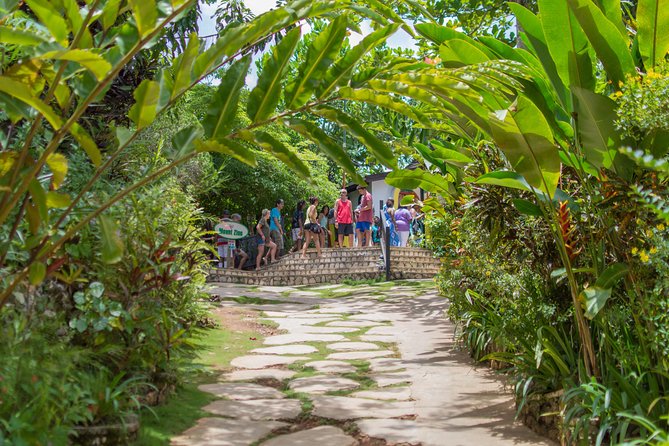 Bob Marley 9 Mile Tour Admission - How much the guide changes the visit