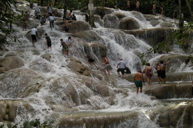Bob Marley 9 Miles Tour and Dunns River Falls - Why this private Jamaica day works so well