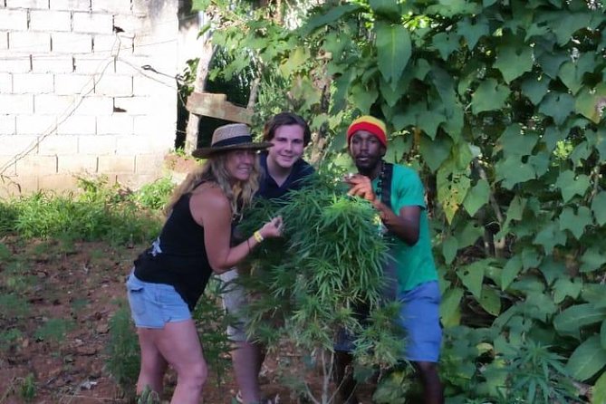 Bob Marley's Nine Mile & Dunns River Falls Tour: Transportation & Ticket - Booking details that matter