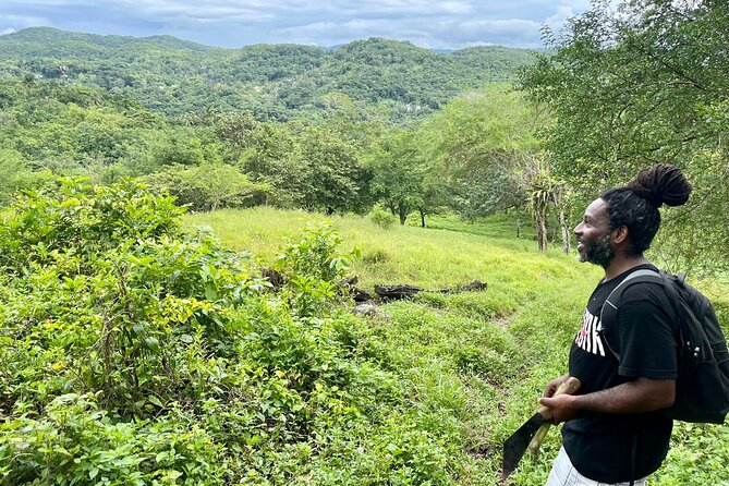 Bush Hiking to explore Wild Plants & Fresh Fruits,Montego Bay - Why the private format helps