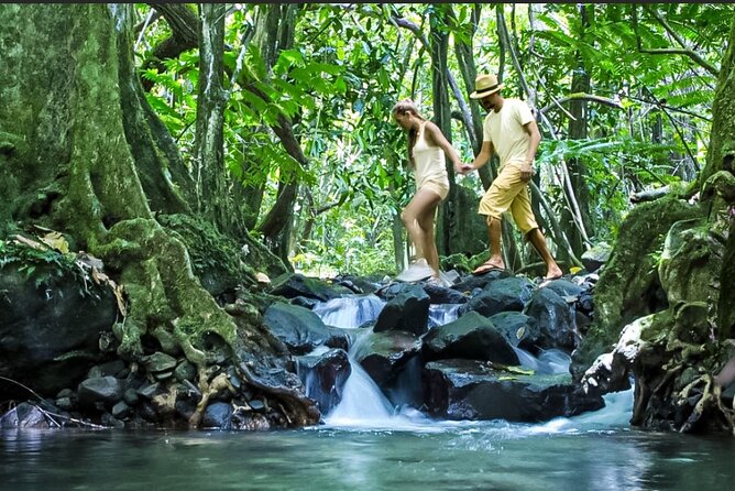 Bush Hiking to explore Wild Plants & Fresh Fruits,Montego Bay - Practical details to handle before you go
