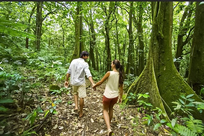 Bush Hiking to explore Wild Plants & Fresh Fruits,Montego Bay - The parts most worth remembering