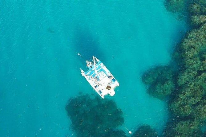 Catamaran, snorkeling & Dunn's River Falls - Why this Montego Bay to Ocho Rios day works