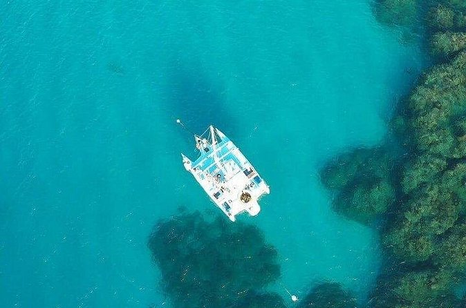 Catamaran, snorkeling & Dunn's River Falls - Who should book this outing
