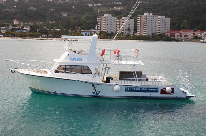 Certified 2-Tank Scuba Diving Tour from Montego Bay - What the morning feels like