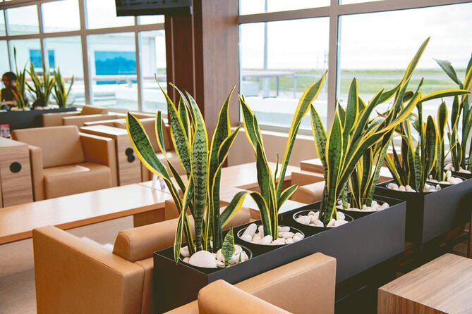 Club Mobay Sangster Airport VIP Lounge with Priority Entry - Food, drinks, Wi-Fi, and the practical extras