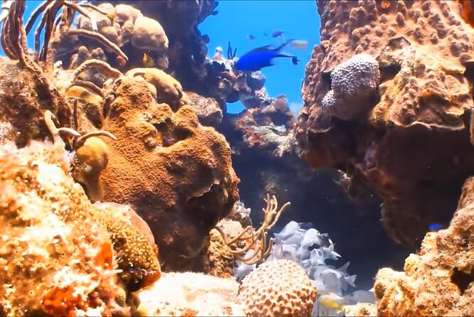 Customize Snorkeling with Option shopping Lunch & Stop local food - Meeting the Local Guide and Fitting Your Gear